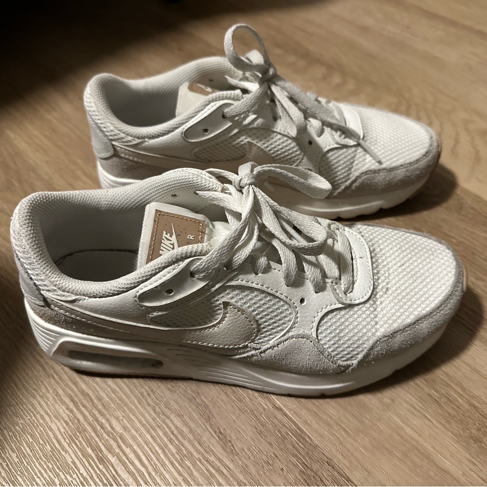 Nike Air Max Sneakers